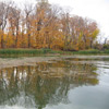 Fall Reflections