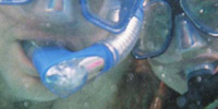 Scuba in Belize