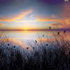 Hours of Indigo Cover