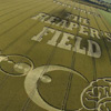 The Reaper's Field Cover