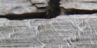 Woodfur